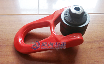 DSR型萬向旋轉吊環實物圖四 DSR型萬向旋轉吊環實物圖四